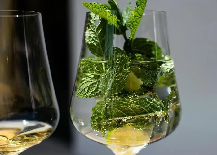 Reichenspitzblick Königsleiten